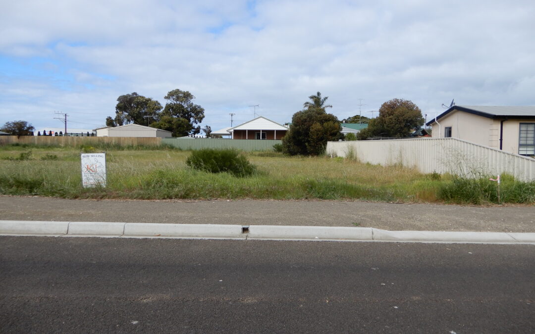 Large Level Building Allotment  (SOLD)