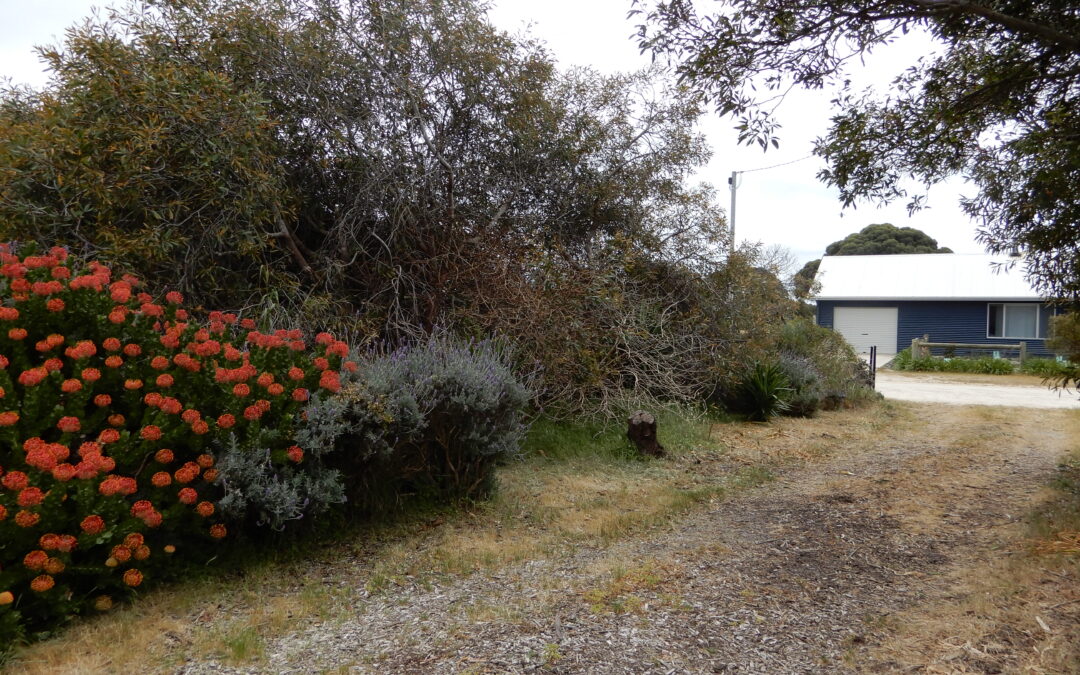 Level Building Allotment with established gardens (SOLD)