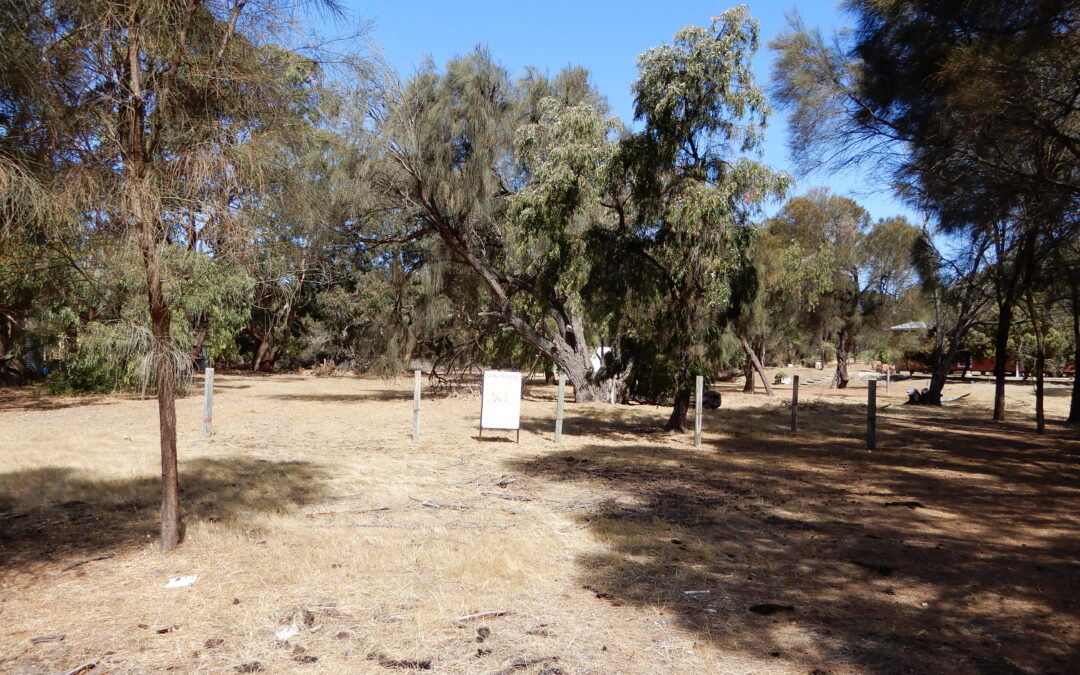 Pretty Level Allotment with Established Trees (SOLD)