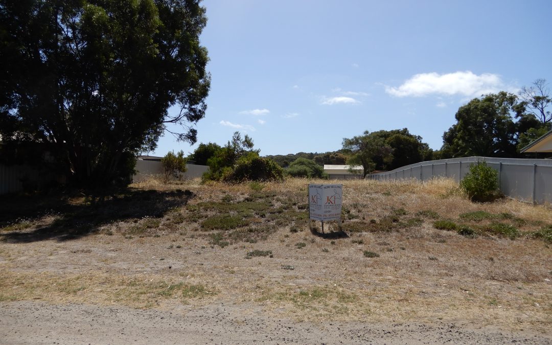 One Street Back from Brownlow Beach