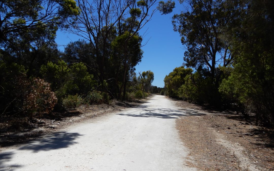 Secluded Scrub Block just one street back from the beach