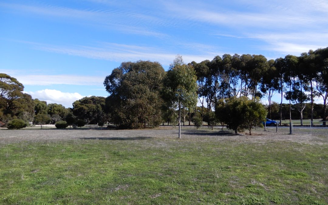 Prime 2ha Lifestyle Allotment in Prestigious Kingscote Enclave